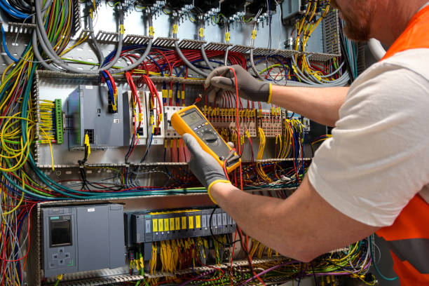 Best Electric Panel Repair  in Hlsboro, IL